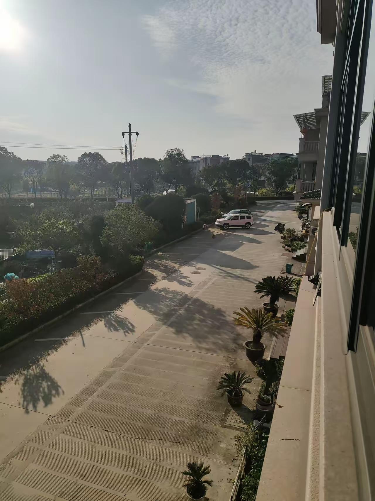 我不喜欢狗，甚至可以说是讨厌。小时候在农村老家，有一个邻居养狗，被狗追咬过一次以