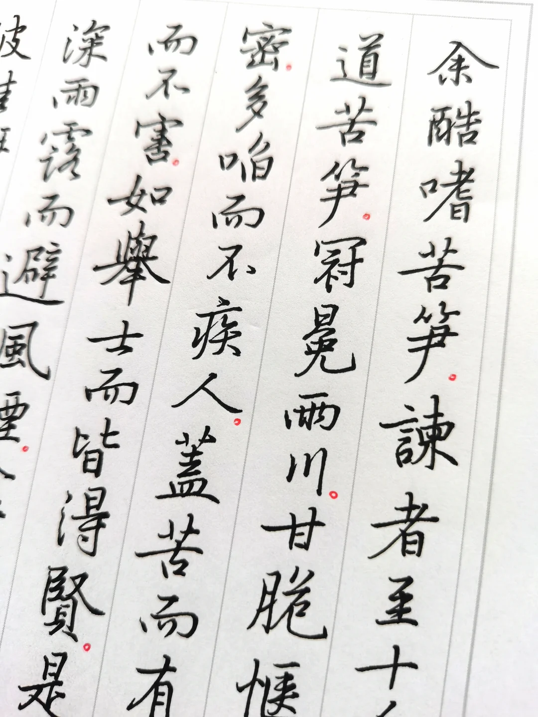 硬笔手写黄庭经手札行楷经典之《苦笋赋》