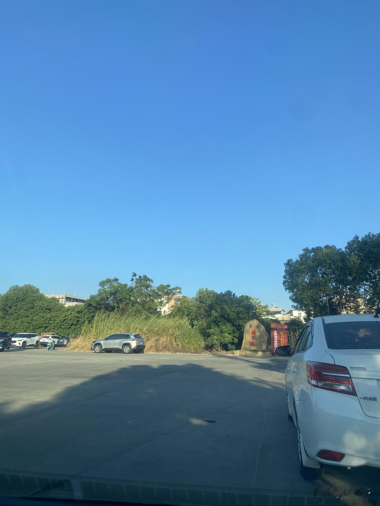 从小都说我表姐性格太闷，干不了大事，连我妈都叹气“这孩子吃亏在嘴上”。结果人家闷