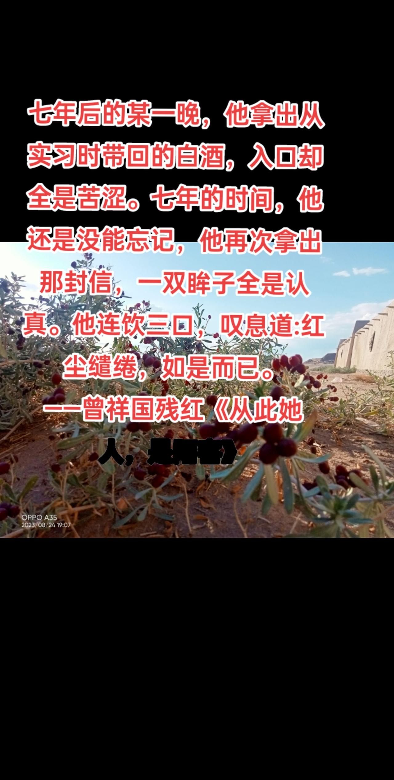 七年后的某一晚，他拿出从实习时带回的白酒，入口却全是苦涩。七年的时间，他还是没能