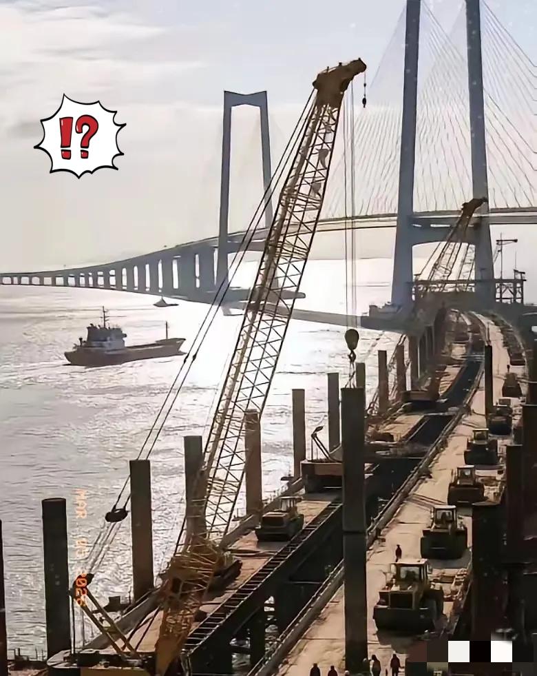 权威快报！厦金大桥（厦门段）全速推进，民心所向势不可挡！
 
目前工程已完成37