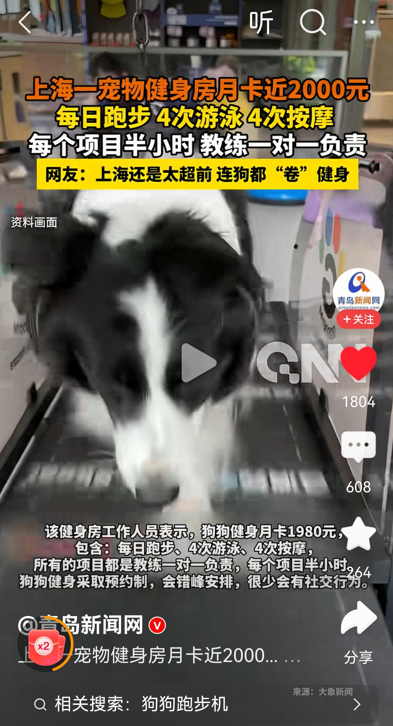 大部分网友表示活的不如宠物狗[捂脸]