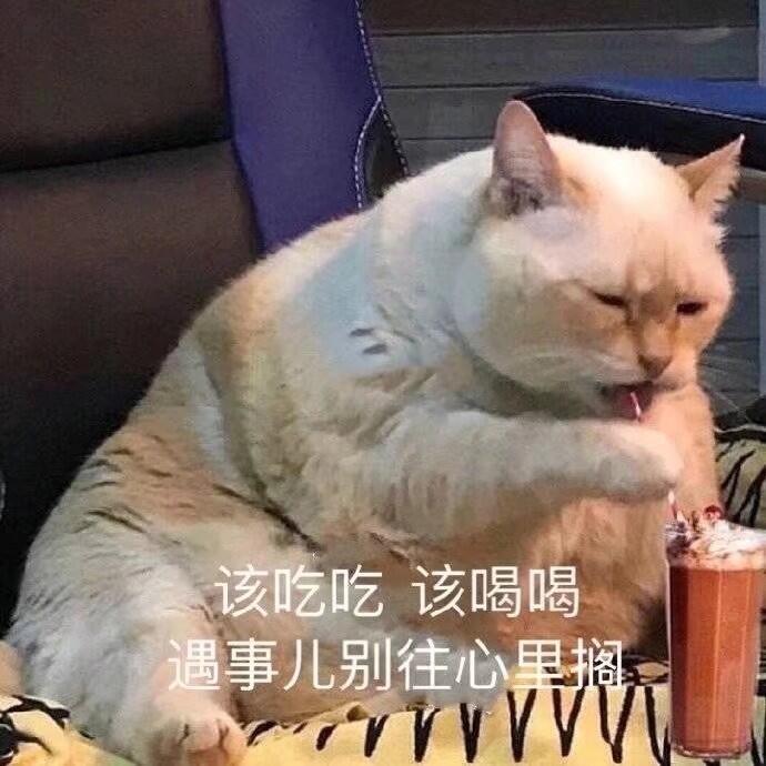 临下班，惊闻一个项目的甲方对接人昨晚猝死了，看看今天群里还有人艾特他在确认需求，