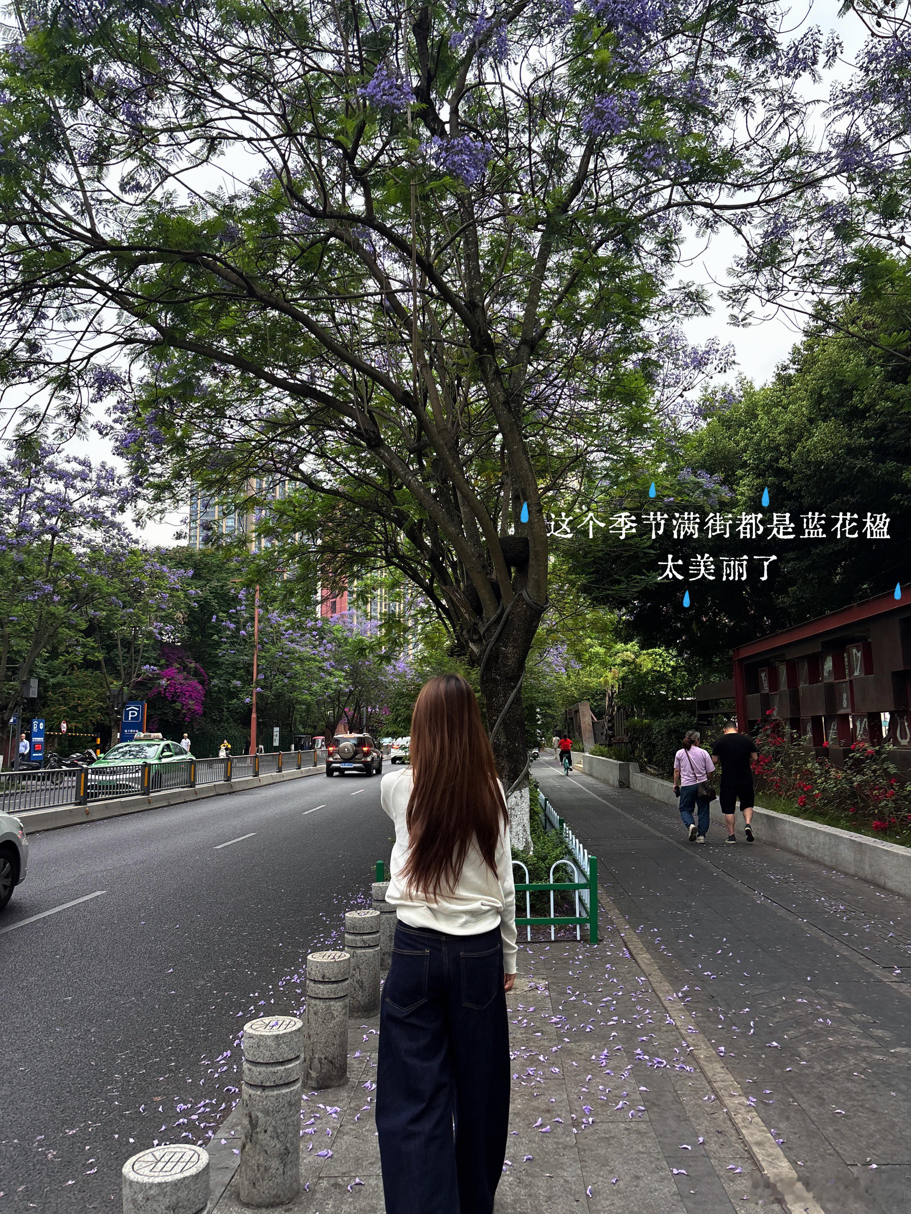 plog：）一些生活update💐/最近感觉哪里都在下雨所以就多呆室内吃点好吃