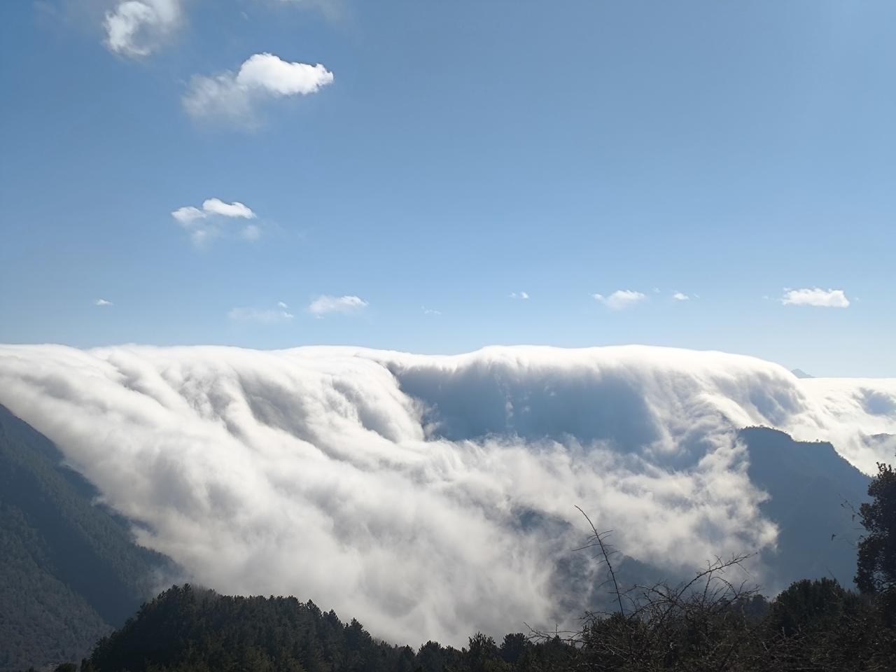 我们的A股。
用银行来护盘，导致指数失真了。
用ETF来压盘，导致权重股股价已经