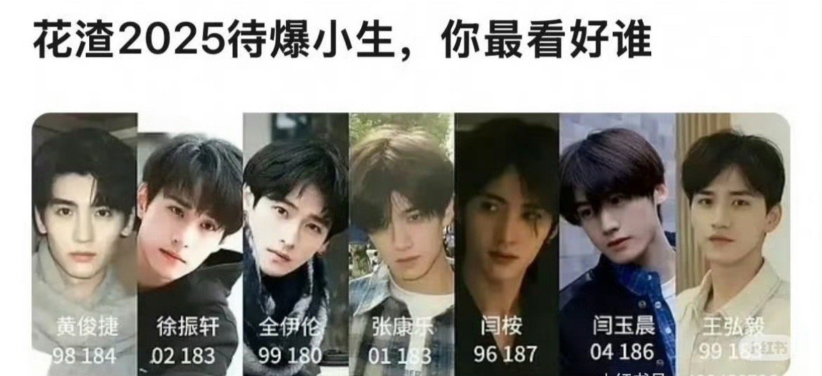 现在看的话，徐振轩 张康乐 全伊伦  闫桉这几个今年的表现都还不错都有姓名了 黄