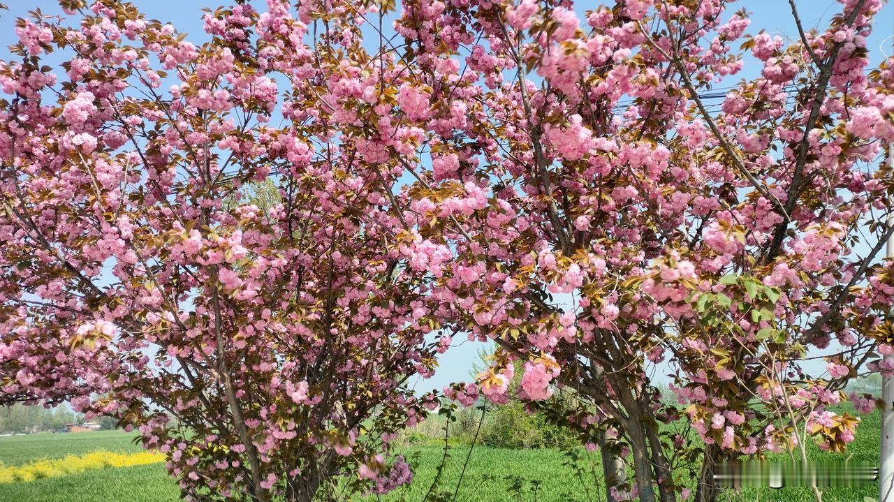 大家有随手拍照的习惯吗？你们有没有想过这样一个问题：经常习惯了拍照的你，到底是为