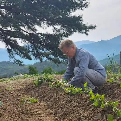 接地气的韩国文在寅和李在明总统

文在寅、李在明都是韩国最接地气的总统代表——出