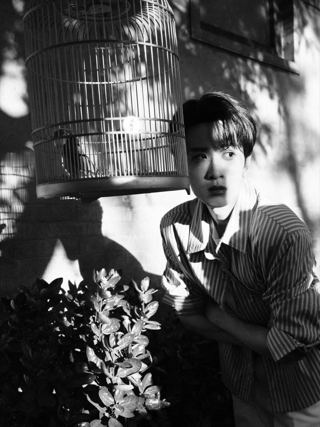 檀健次 檀健次ins更新啦  专栏 · 檀健次日常