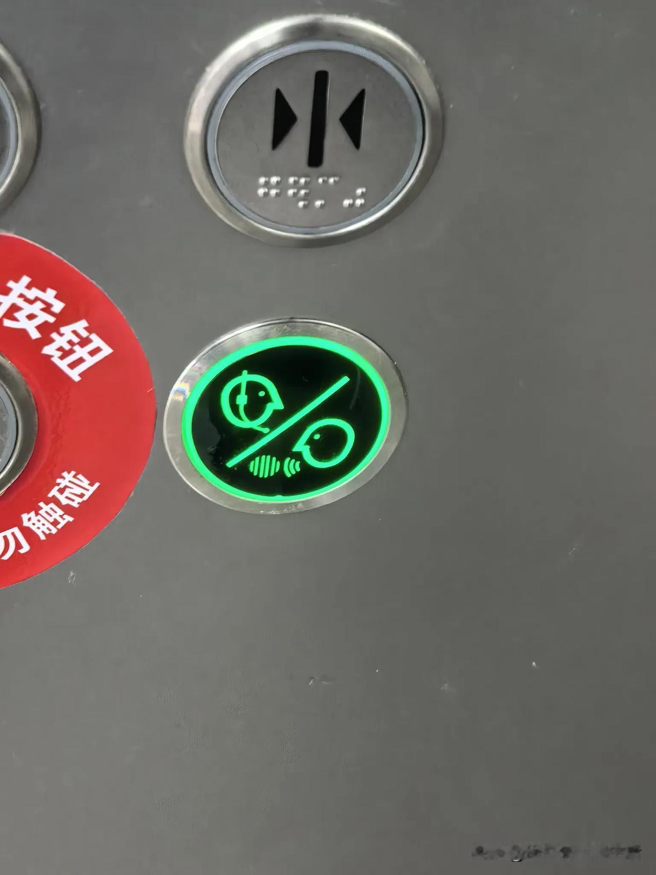 不懂就问[捂脸][捂脸][捂脸]

今天去保险公司，在电梯里注意到一个绿色的摁钮