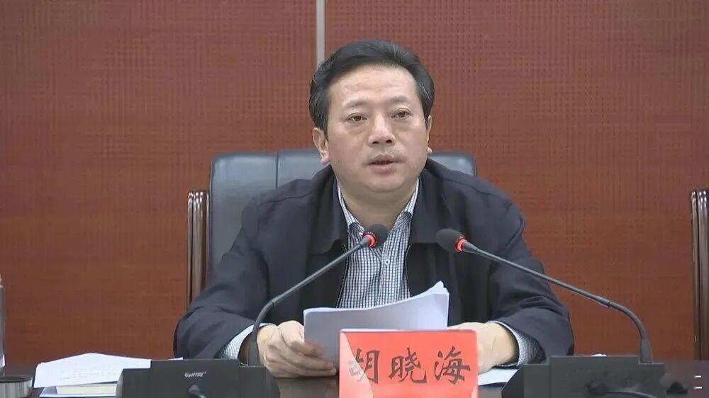 严重违反党的五项纪律，南昌市原常务副市长被双开。经查，胡晓海丧失理想信念，背弃初