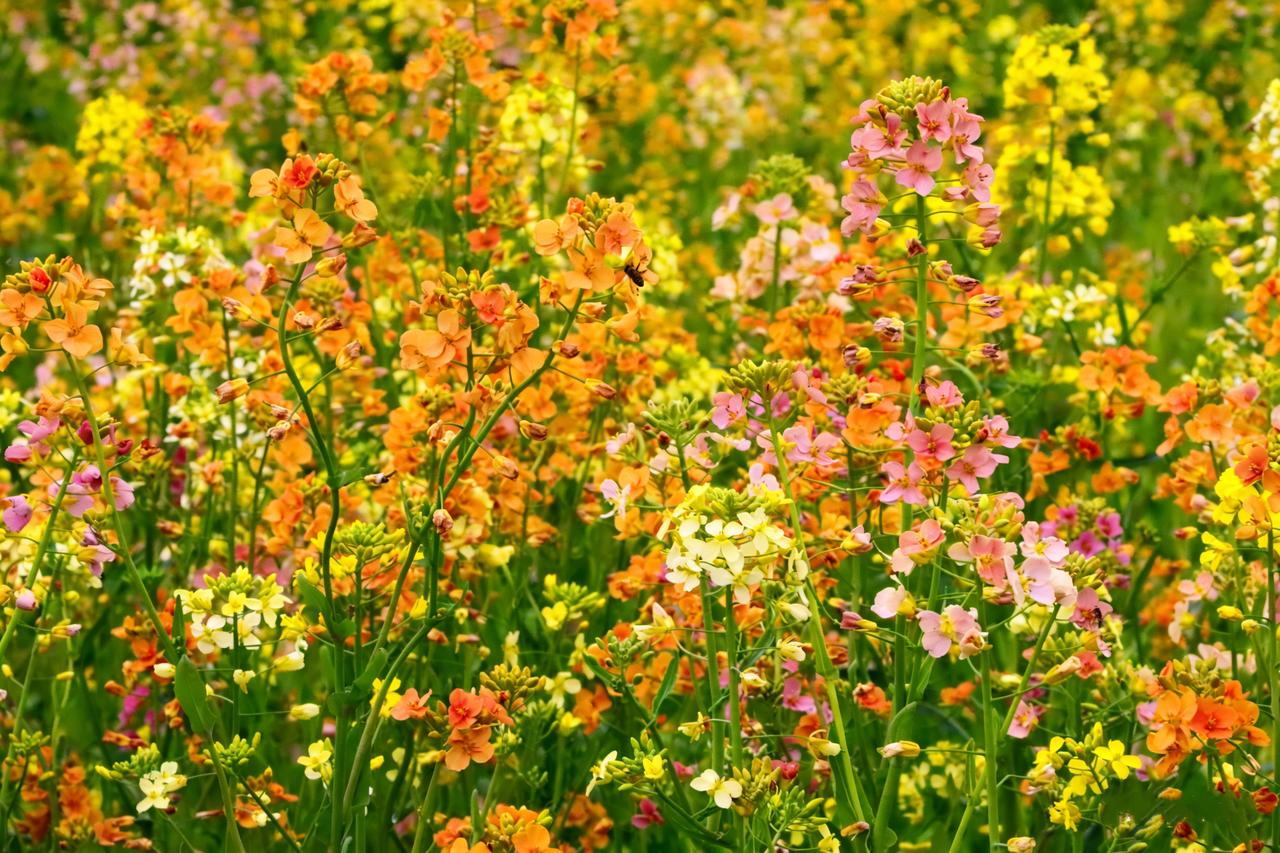 【学会微笑是常人最应该拥有的生存权利】
        学会微笑确实是常人最该拥