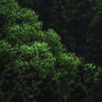 0000不必追赶别人的光，把心底的善良化作星光，慢慢走也没关系。用柔软的力量拥抱