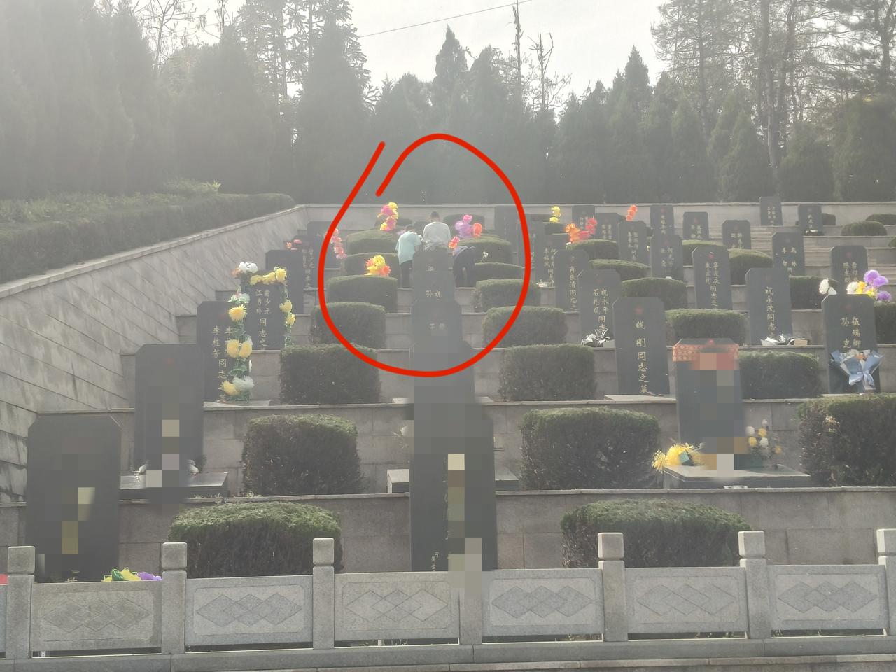 烈士陵园偶遇三个小孩，
无人看管却举动破防：
这才是刻在骨子里的教养！
 
今天