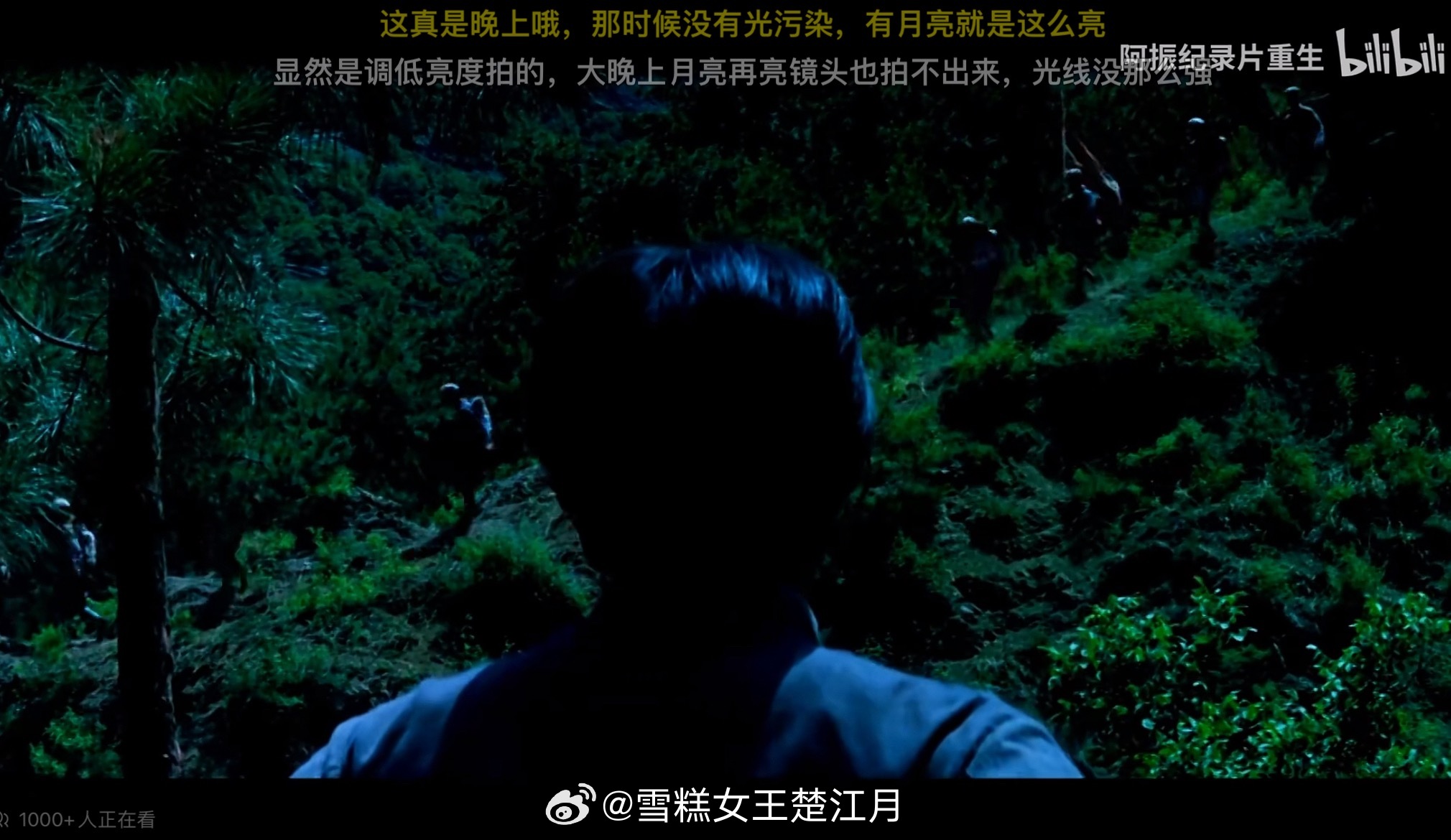 一些城里长大的年轻人没见过月光，看老电影，发现晚上竟有影子，纷纷怀疑是白天拉低亮