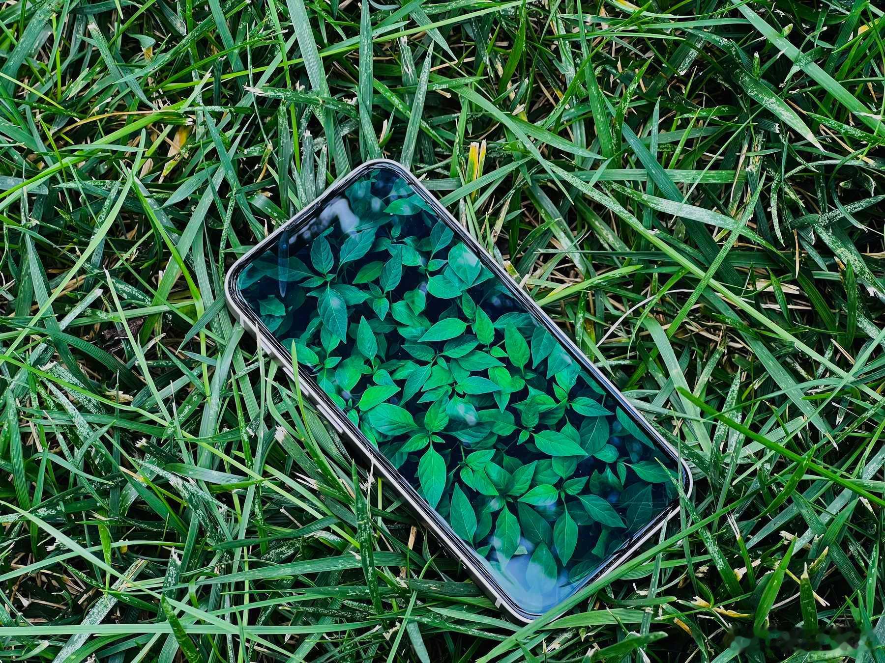 尾巴生活 它可能并不完美，但它是最后一代-iPhone 13 mini 2021