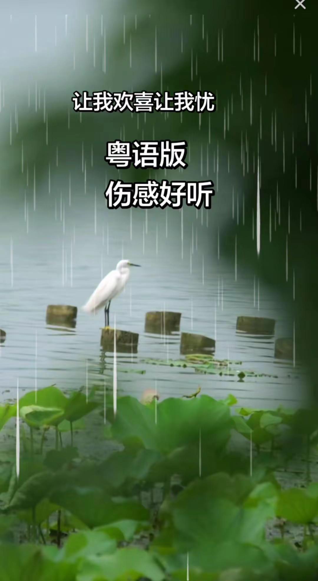 不知道从什么时候起，喜欢上了这种伤感的歌曲，尤其是下雨天玩法合伙人计划 情绪音乐