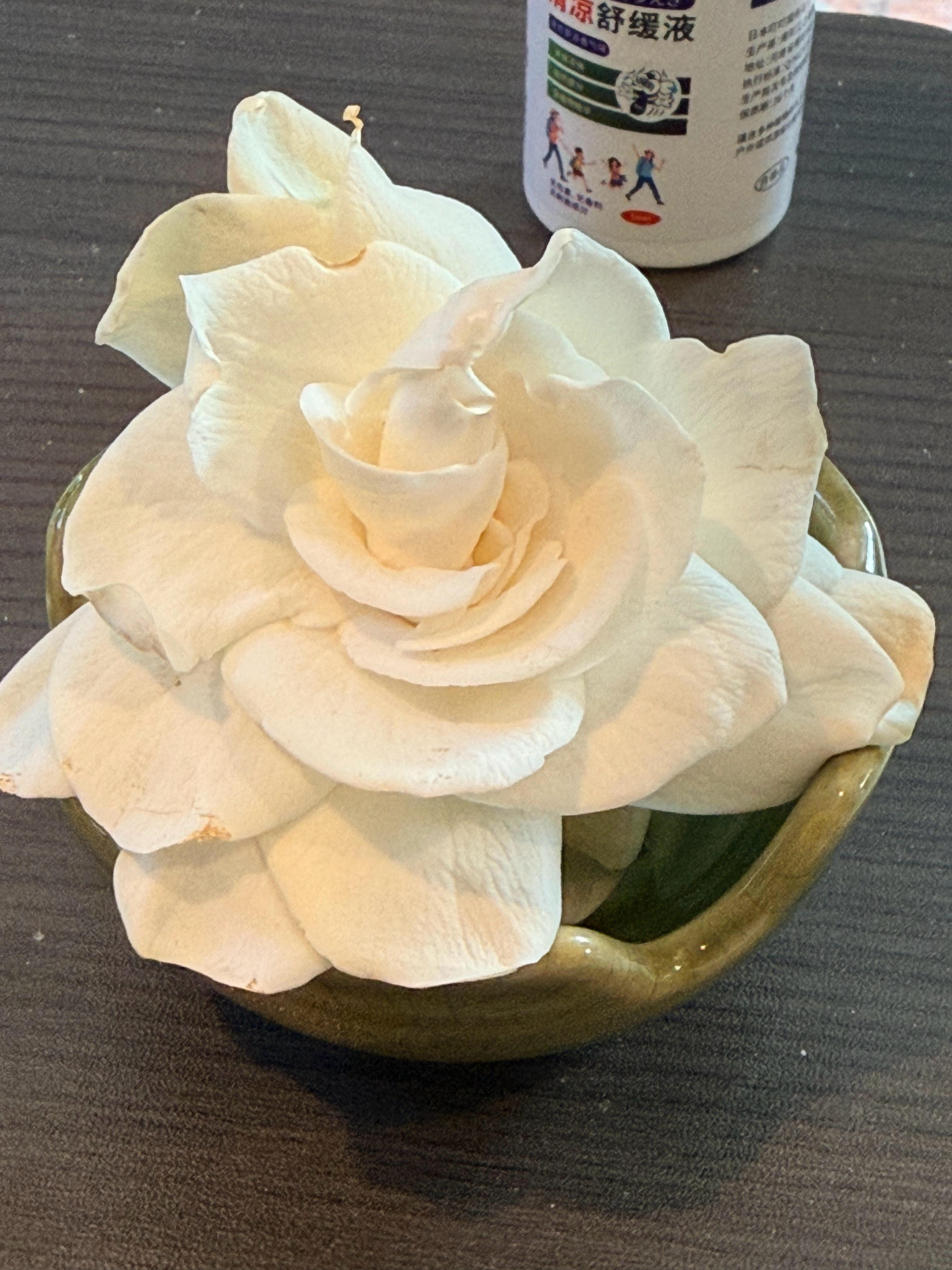 今年热，栀子花开得好，天天都有，而且坚强，好几天不谢。我爱栀子胜过茉莉花儿，可惜