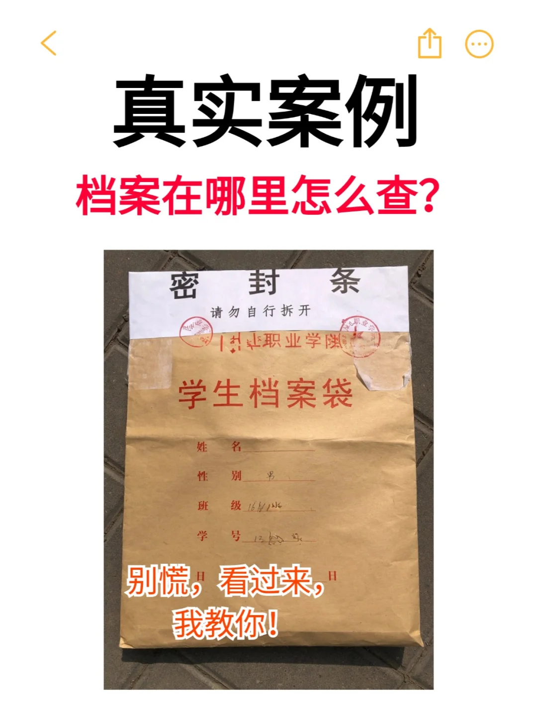 档案在哪里怎么查？💁‍♂️