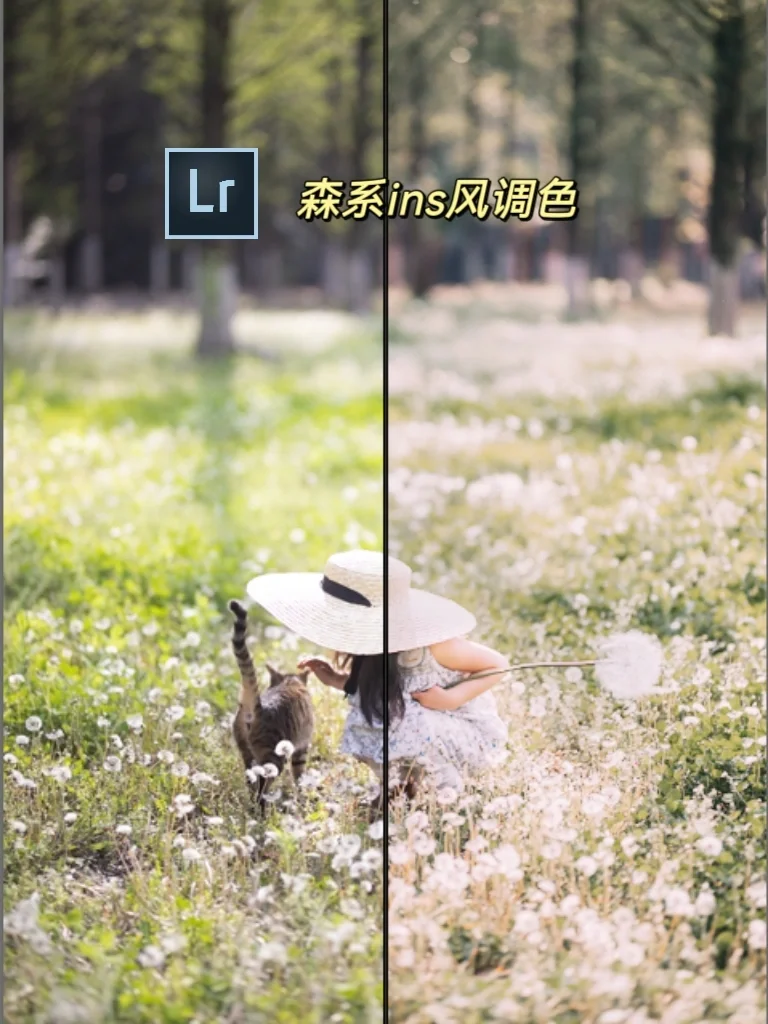 ㊙️一学就会‼️5W人喜欢的ins风调色来啦