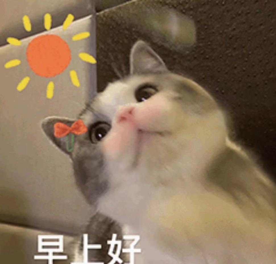 早上好呀[太阳]近期天气不错，阳光充足，希望大家心情也随之明媚~不过...天气开