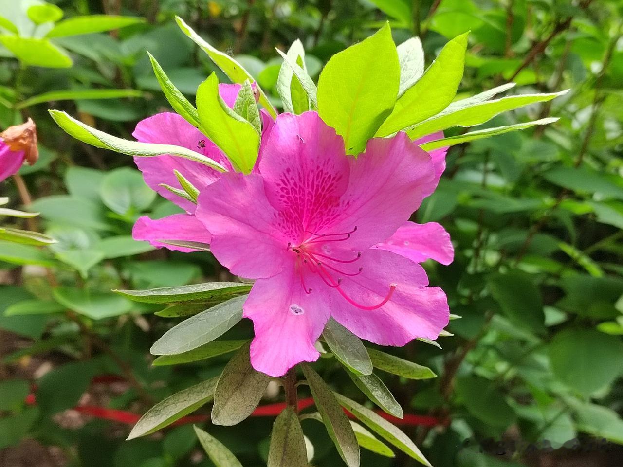 今日南京天气：多云转阴，有时有小雨，气温与昨天变化不大，最高温度21℃，体感清凉