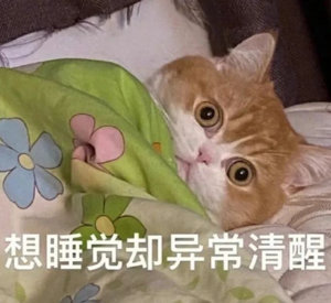 今年ig 更新的比围脖上来说……不是一般的频繁别管，窝又要多想了[阴险][阴险]