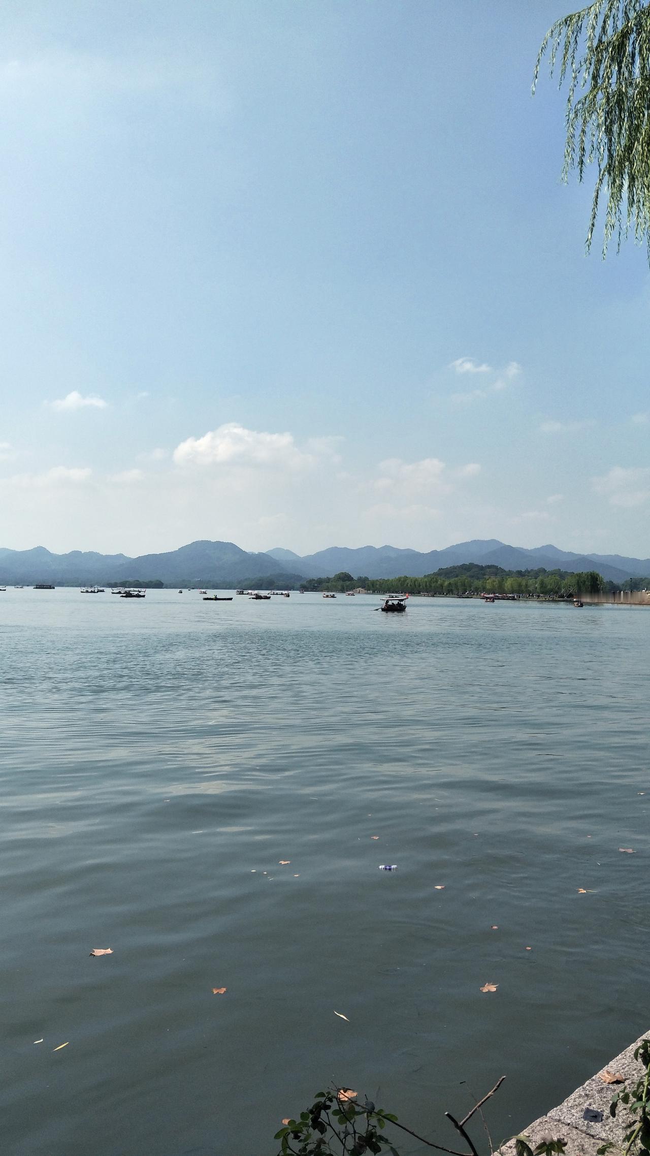 2026，愿日子如诗，温柔有光；愿你我如初，清澈明亮。