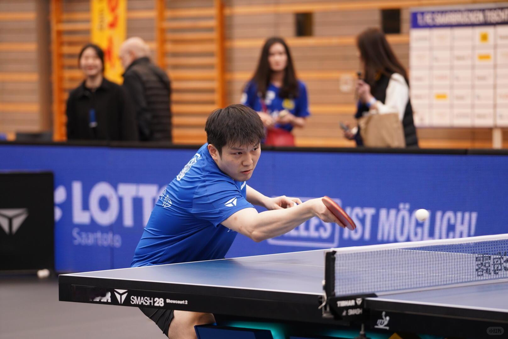 樊振东🏓2025-2026德甲联赛 【20260315】【图片】Cr. 🍠 