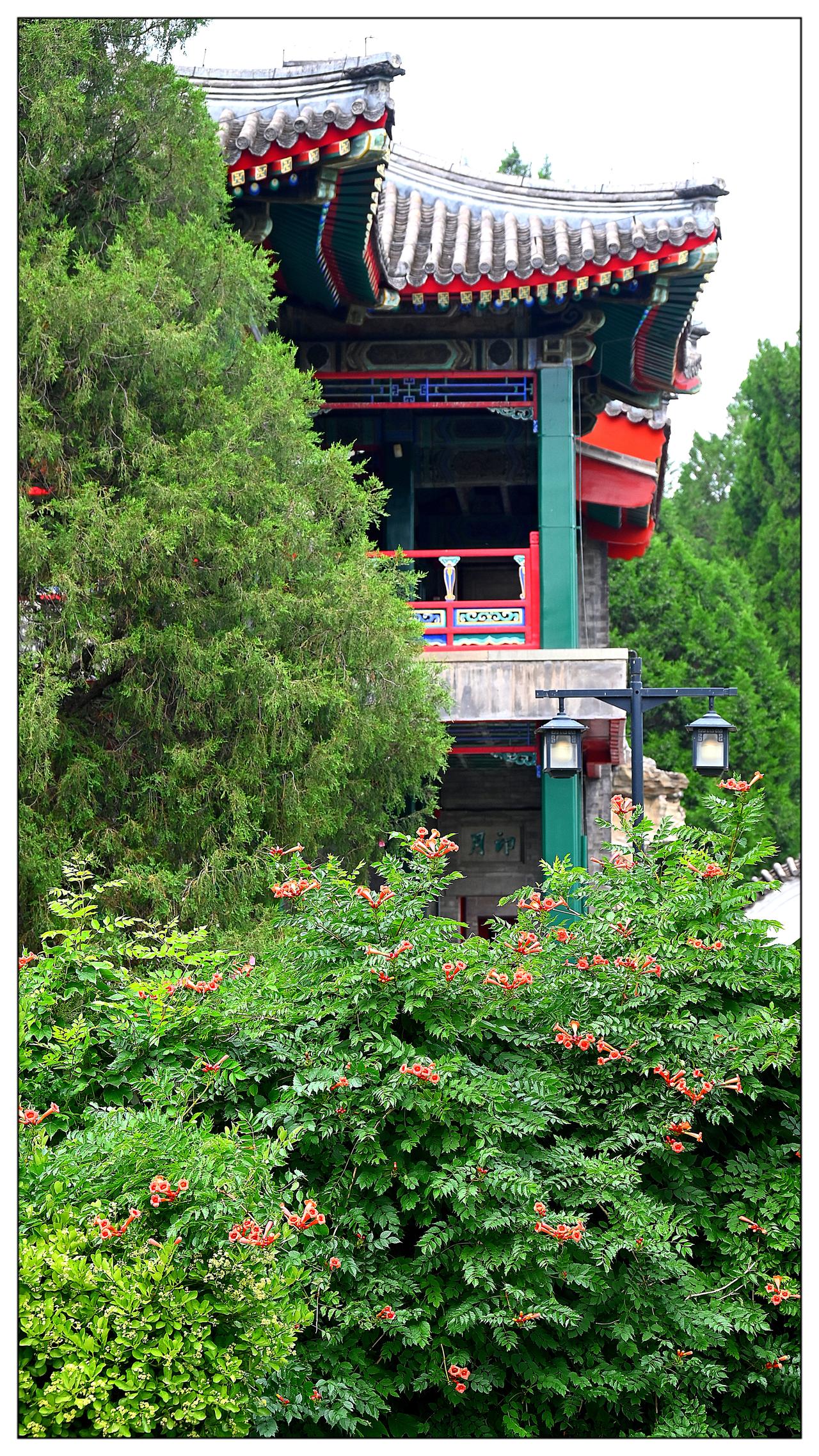 公园小景
