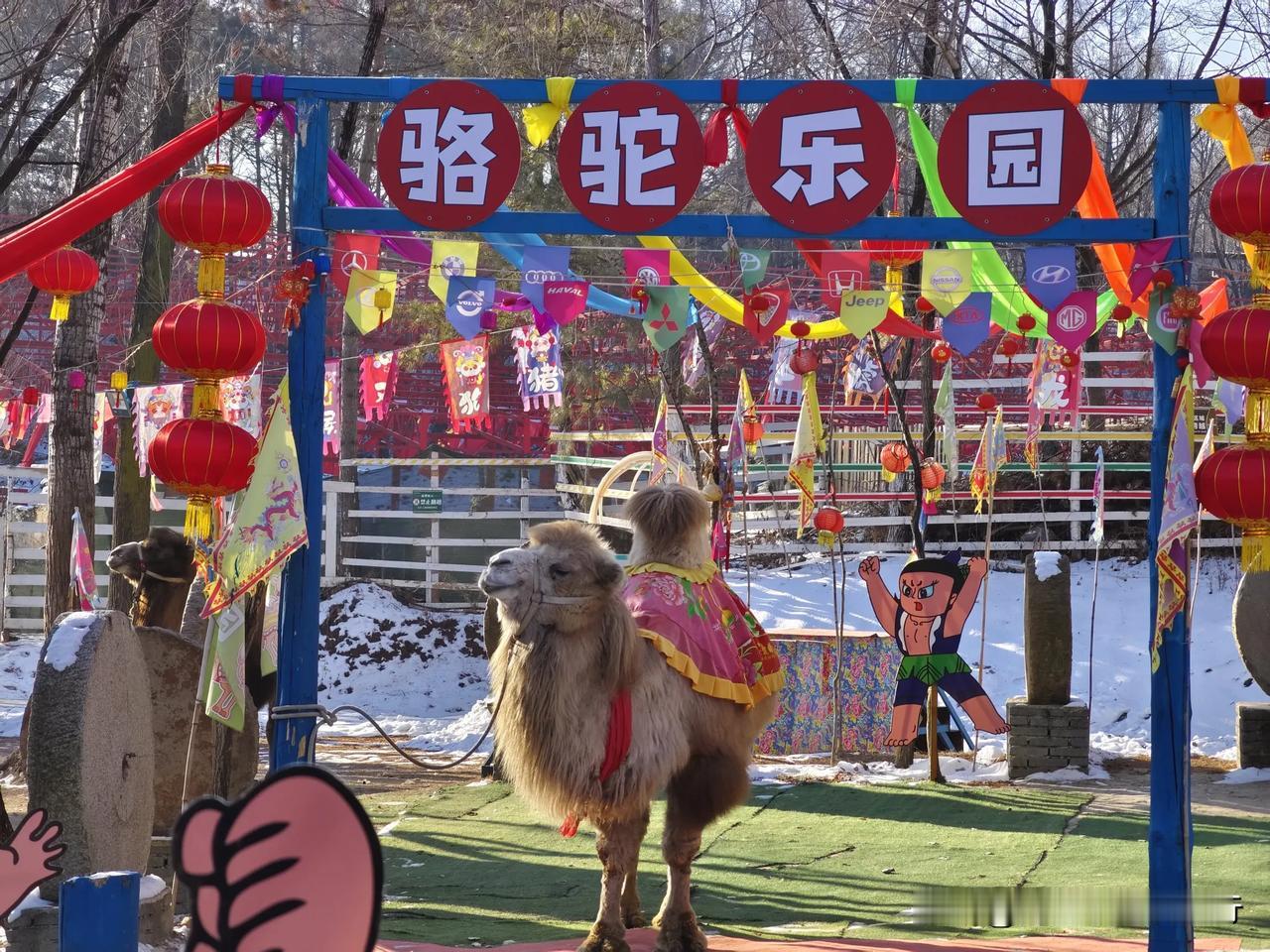 长春莲花岛里的神奇动物，都是小可爱[呲牙]愿新的一年，喜庆吉祥，快乐成长，吉时一