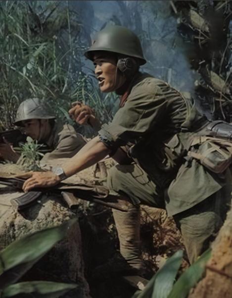 1979年爆发的那场边境战事，我国将其定义为自卫反击作战，可越南人把这股憋屈硬生