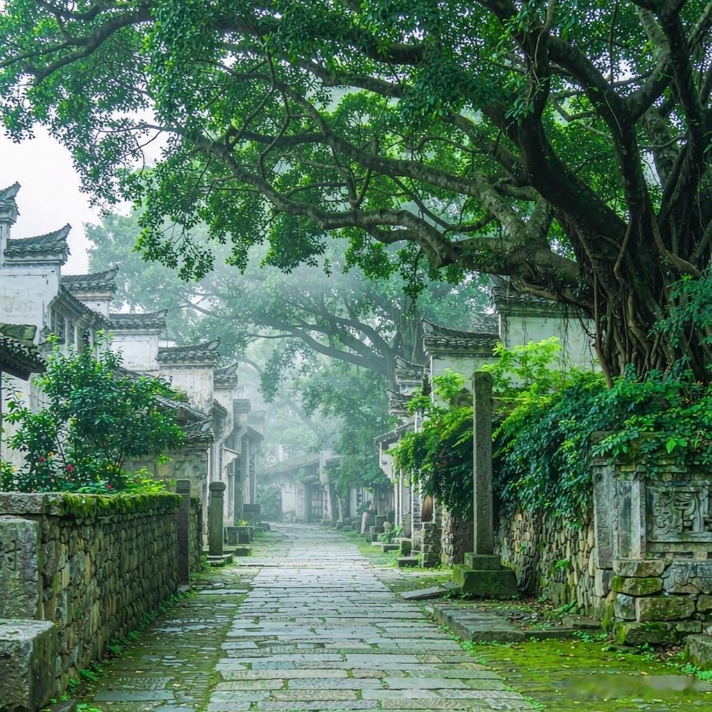 黄姚：贺州山坳里的豆豉古镇，猫比游客多
 黄姚藏在贺州的山坳里，得转几道弯才撞见