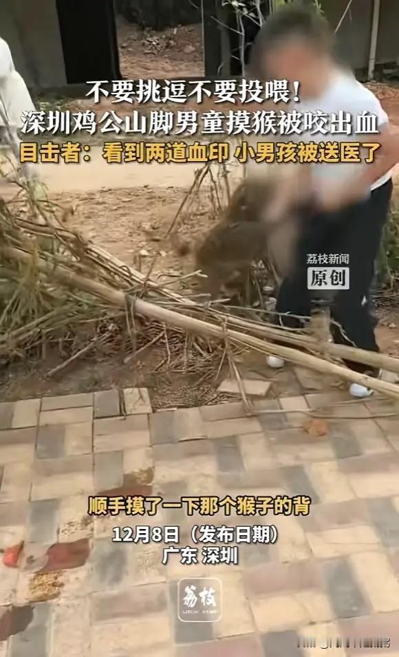 “太吓人了！”近日，广东深圳，一男孩登山时，路上遇到一只野生猕猴，于是走上前去观