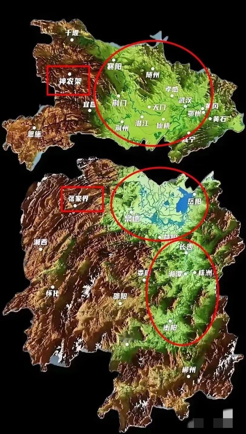 湖南和湖北的地形谁的更好一点？


湖北的平原相对较多一点，但水域较少！湖南的平