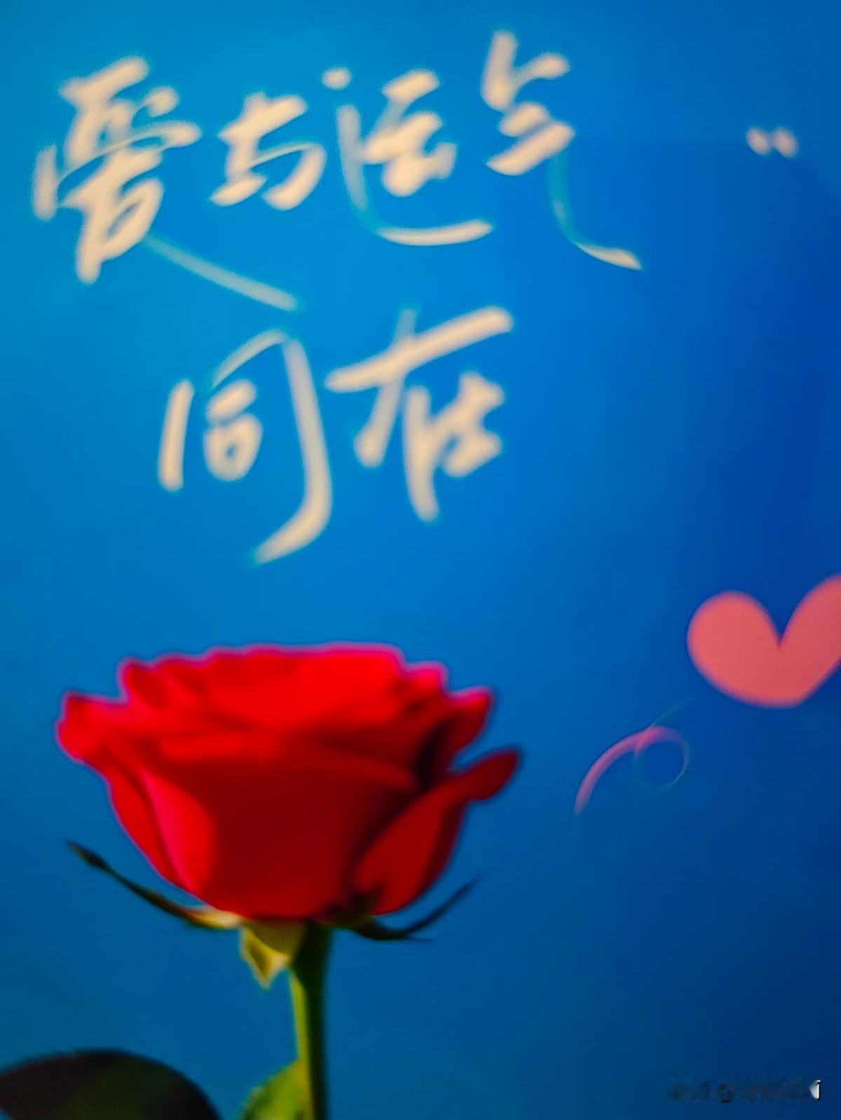 体检单全绿，offer到手，升职加薪——你得到了所有公认的“喜”，然后呢？
你发