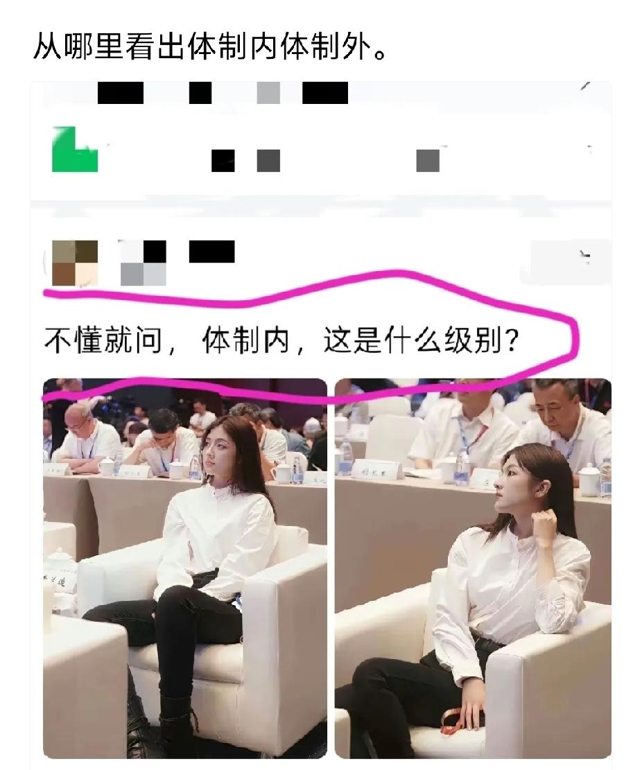 第一，疫情之后体制内视频会议特别流行，动辄全国全省会议，全市全县区更常见了，没见