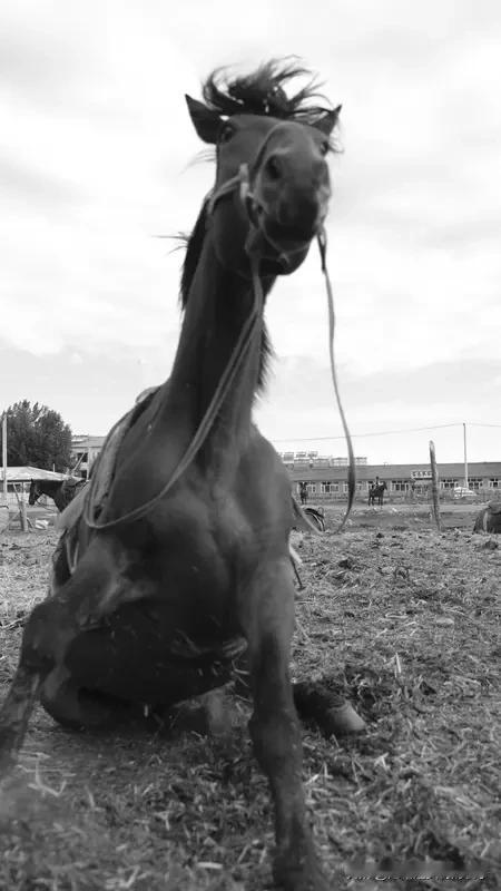 对联这玩意儿，真是奇妙，短短两句话就能展现出无穷韵味，像解缙、金圣叹、纪晓岚这些