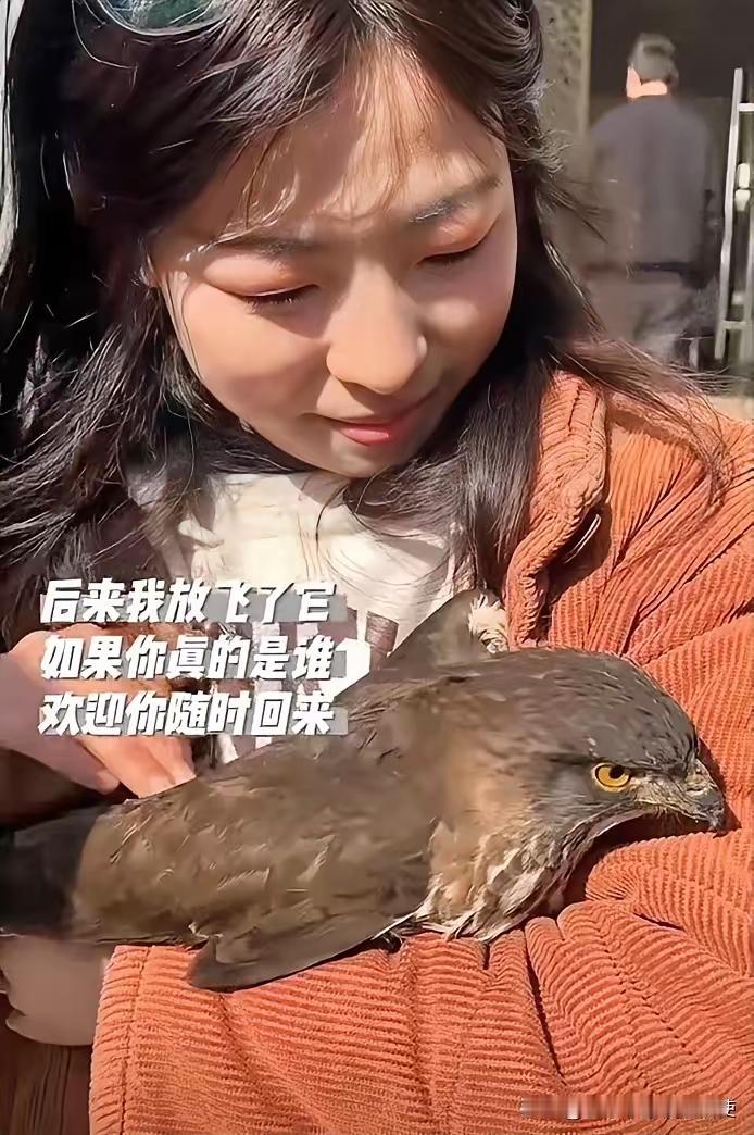 红衣女，心灵荡
游隼降落在手上
乖得好似小兔子
难舍难分耍一场
古有神雕和鲲鹏