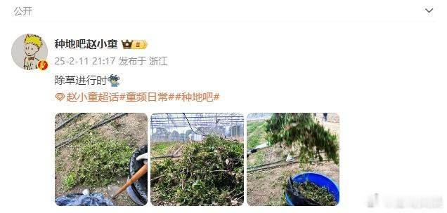 赵小童分享除草进行时  赵小童晒除草 赵小童除草进行时的分享，让我们看到他的坚韧