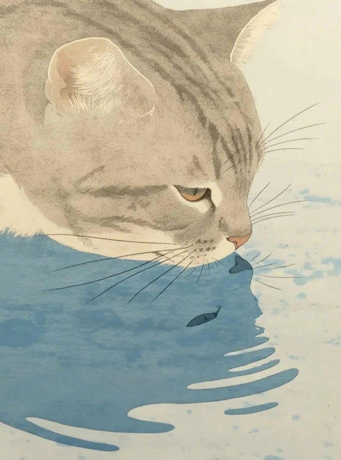 禅猫 