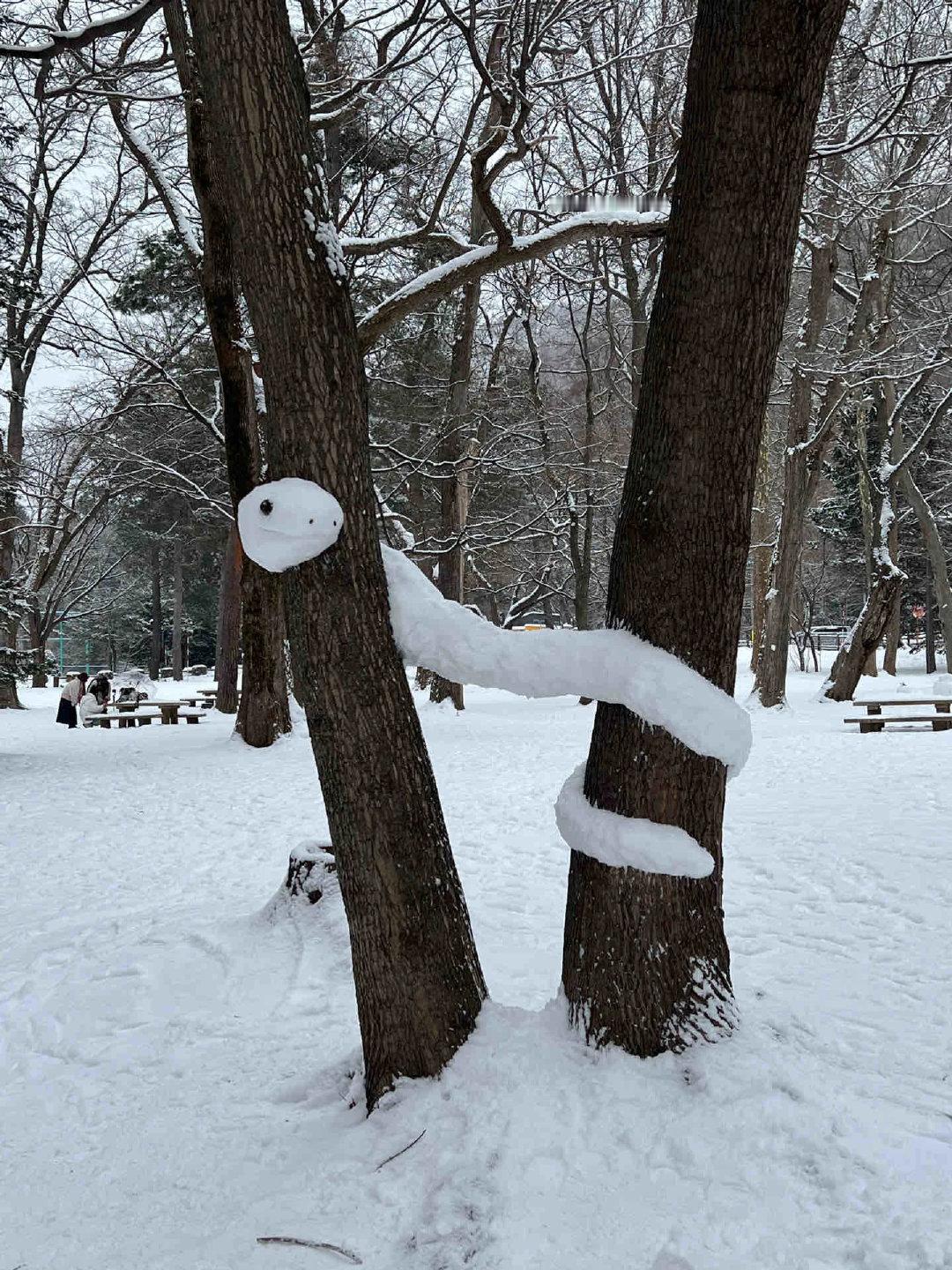 很好奇这玩意到底怎么连起来的[傻眼]！这雪人堆得真牛，为什么河南还不下雪啊，我也