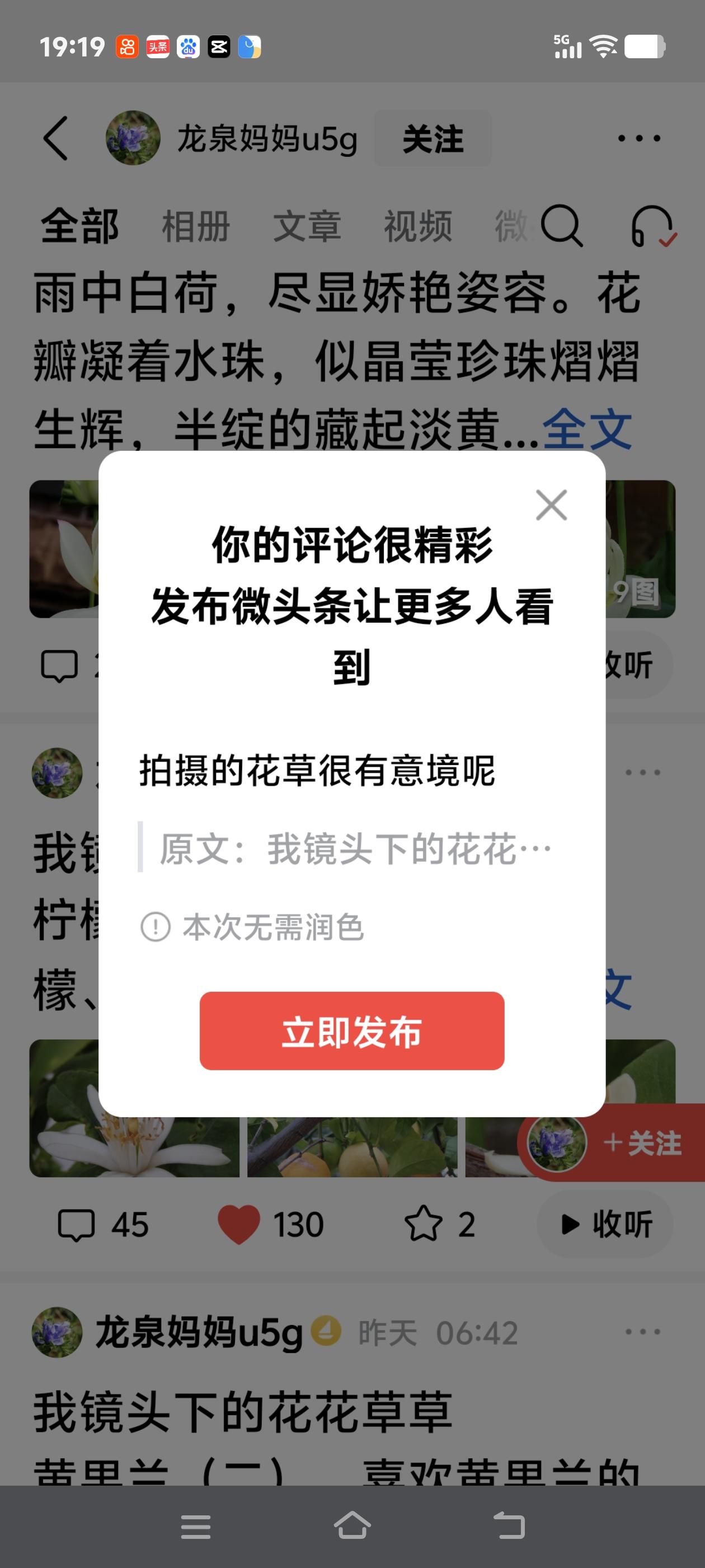 拍摄的花草很有意境呢