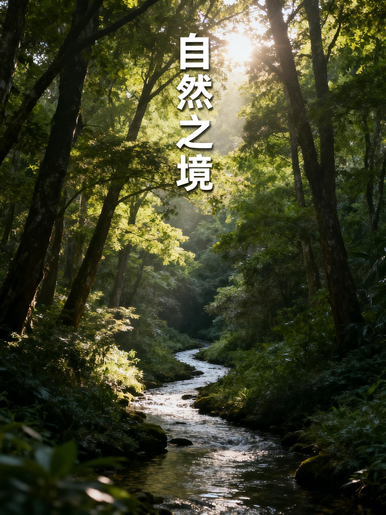 芯片存储齐涨价，手机行业集体调价
无待处理的有效文本内容。
