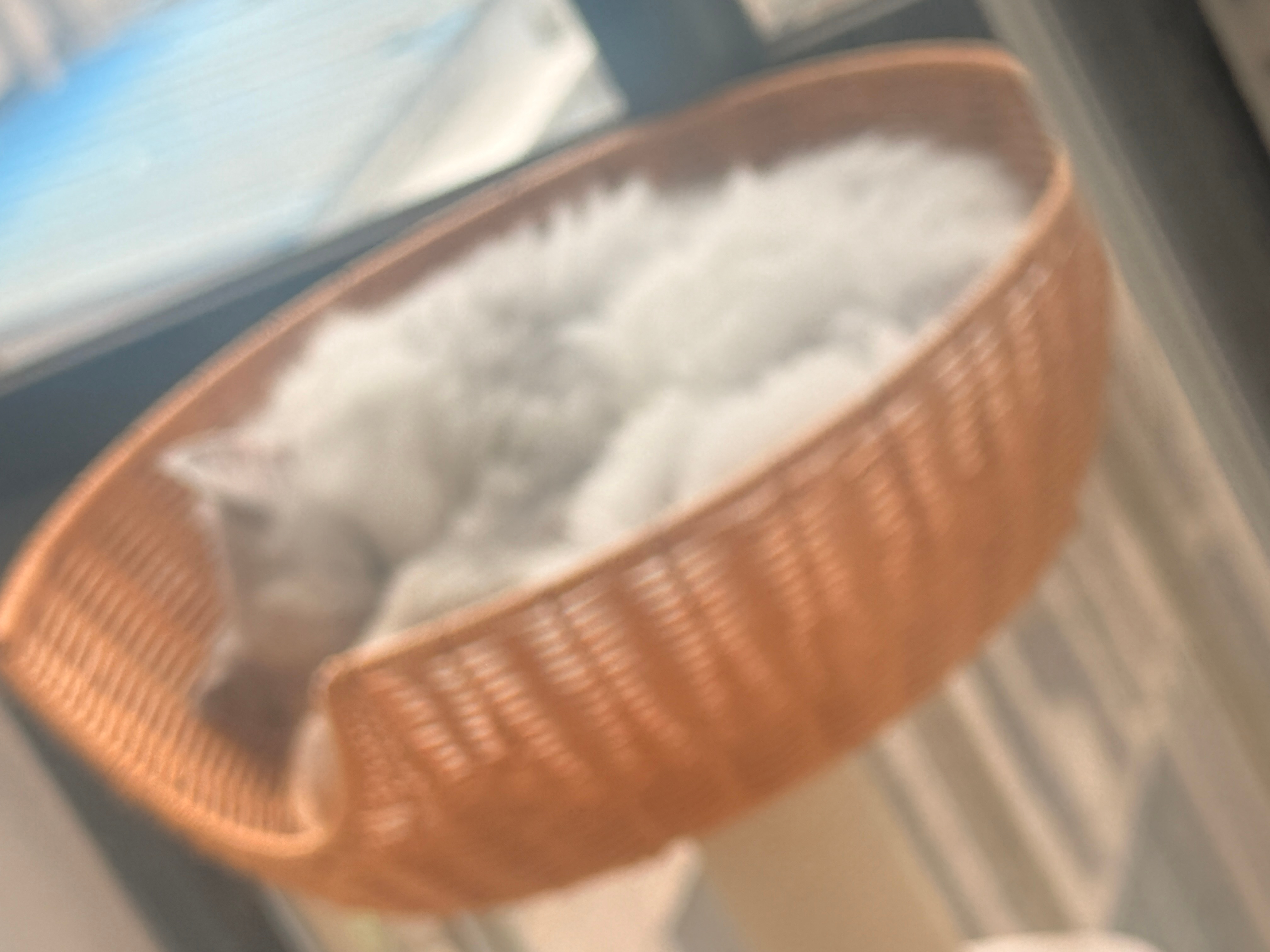 一个睡在我的屋子 一个睡上下铺 一个睡一起 一个睡的高高的 