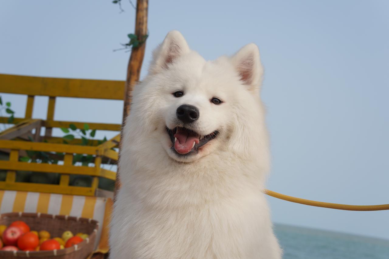 如何抓住股票的主升浪