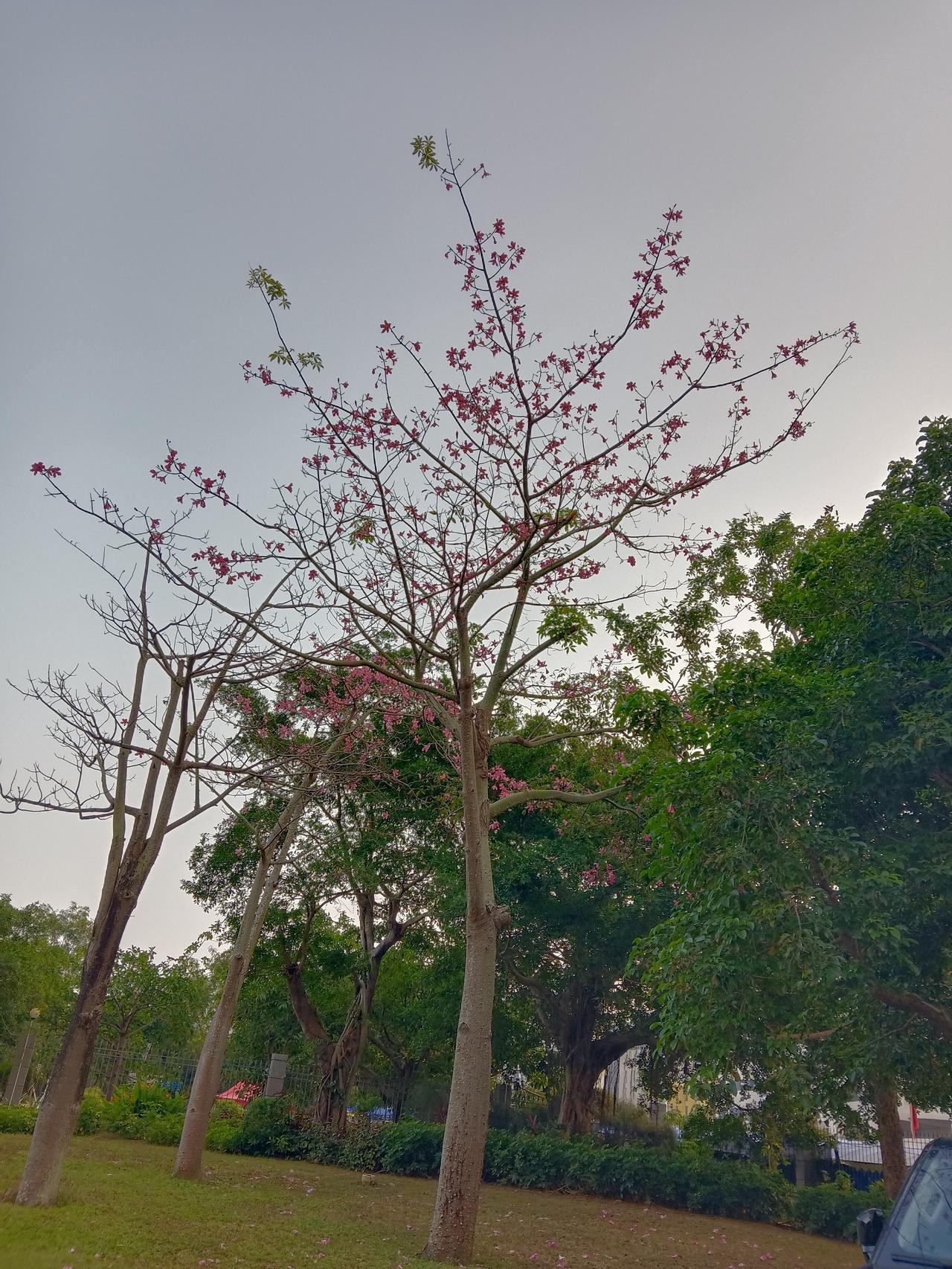 冬日生活打卡季