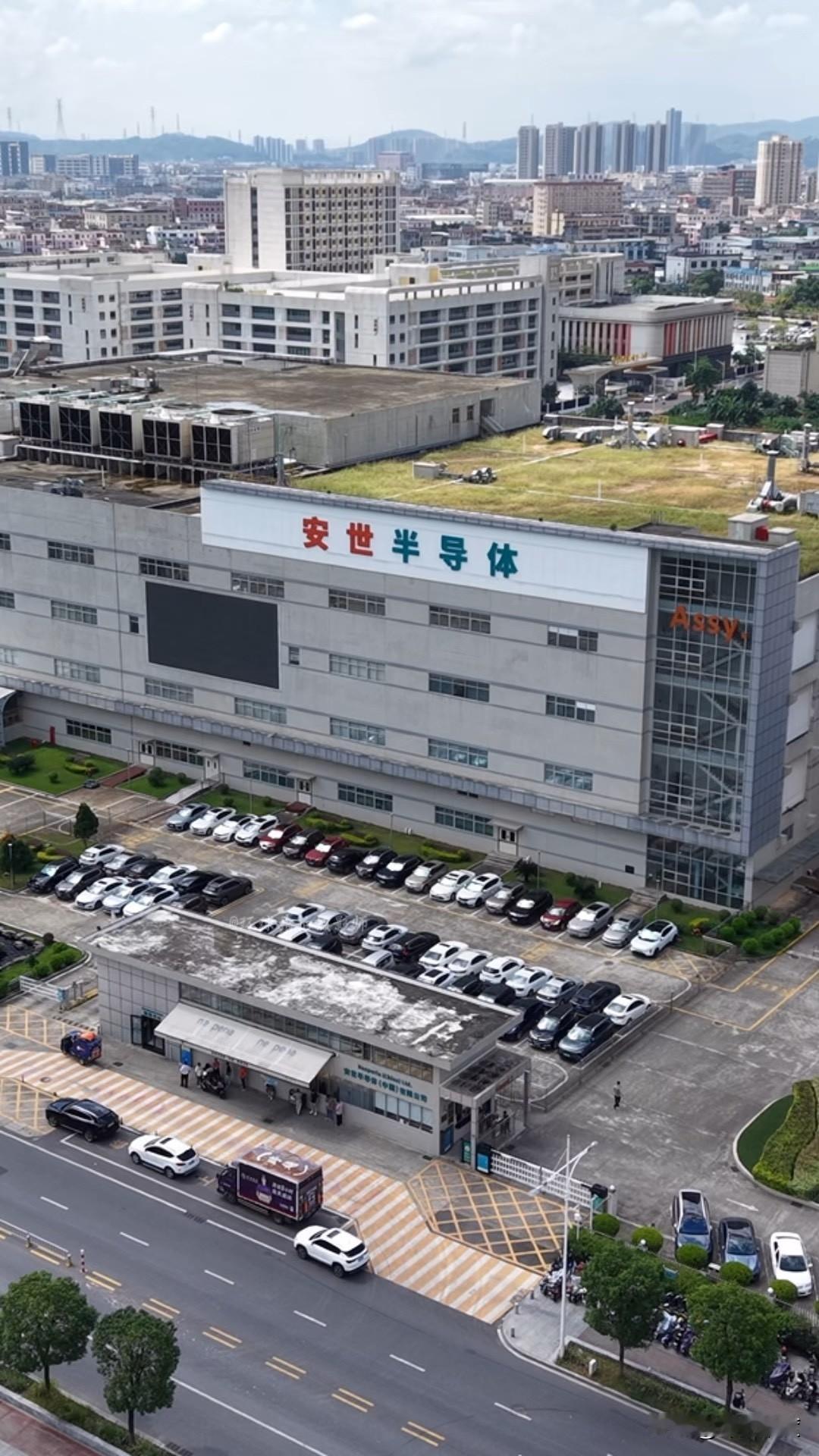 连荷兰这种蕞尔小国，鼻屎国家也敢对我们的海外资产下手，你越藏着忍着，他们跳得越起