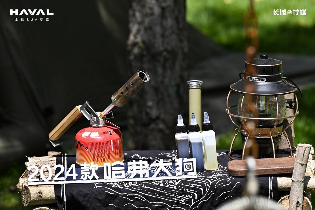入门即高配，2024款哈弗大狗上市靠实力圈粉
 
面对竞争日益激烈的汽车市场，车