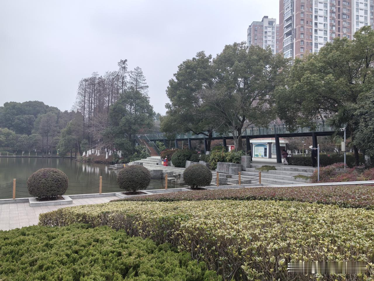 我们这里有个女人，其实蛮可怜，因为她老公是个赌棍，这些年里对家事不闻不问，倒输了